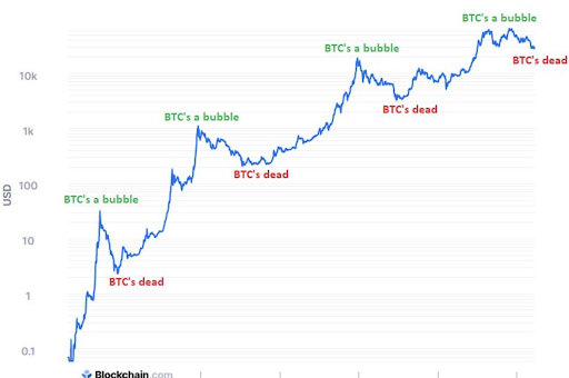 btc a bubble, btc is dead-graph of crypto 